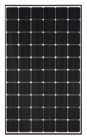pv-t-1